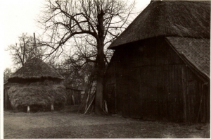 F10 Oude schuur bij boerderij Baank, 1965